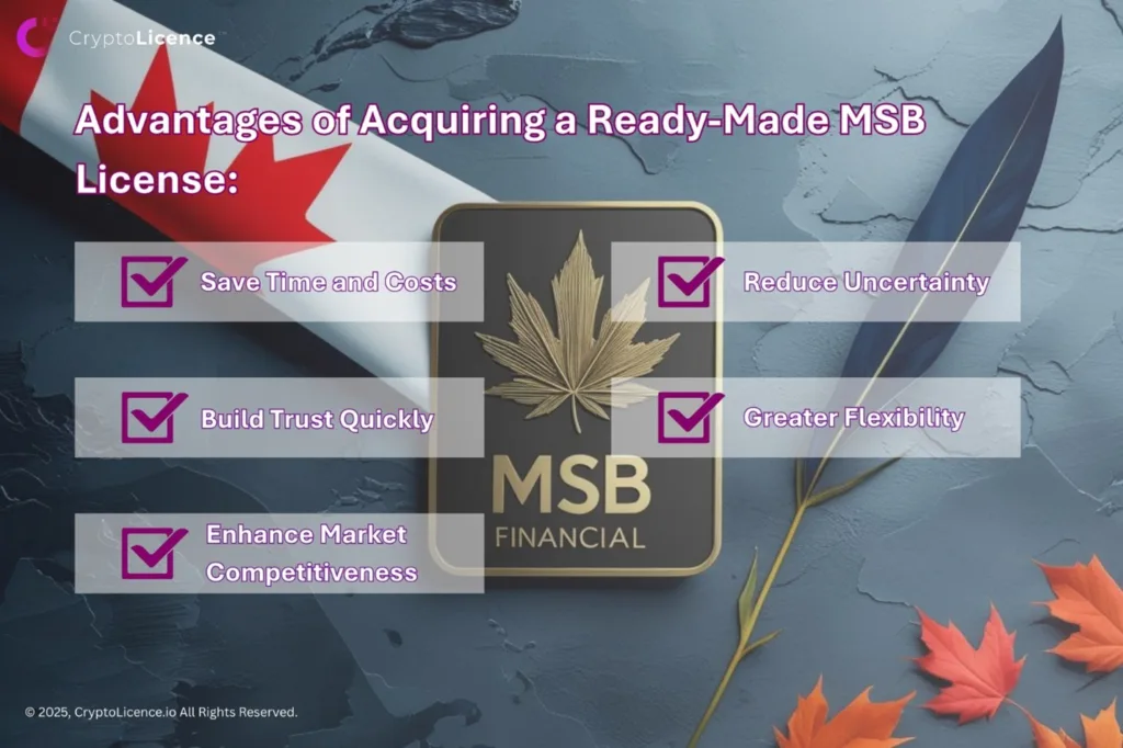 advantages of acquiring a ready made msb