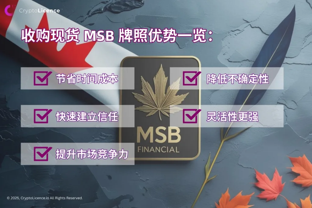 advantages of acquiring a ready made msb cn