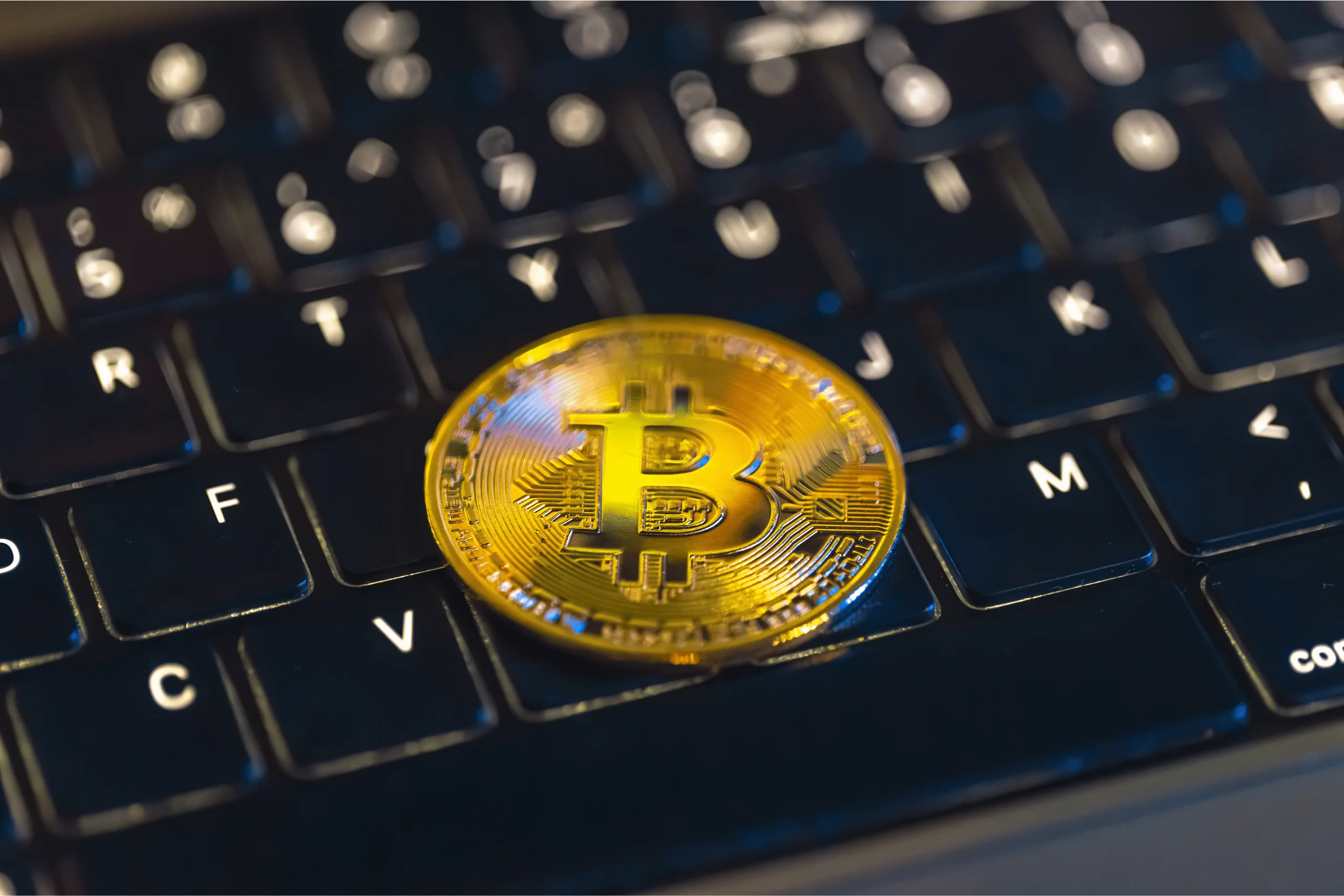 How Much Does a Crypto License Really Cost in 2025